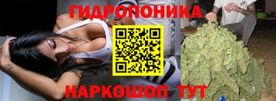 хмурый Донской