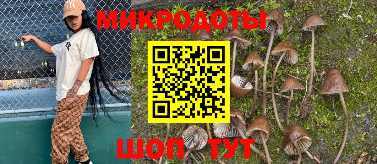 Псилоцибиновые грибы ЛСД Люберцы