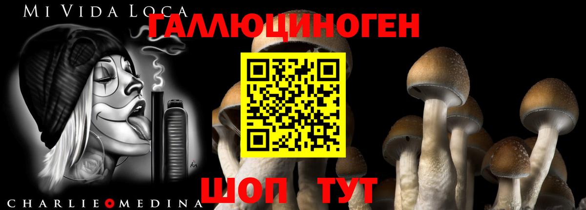 хочу наркоту  Галлюциногенные грибы Psilocybe  Вход с VPN  Люберцы 